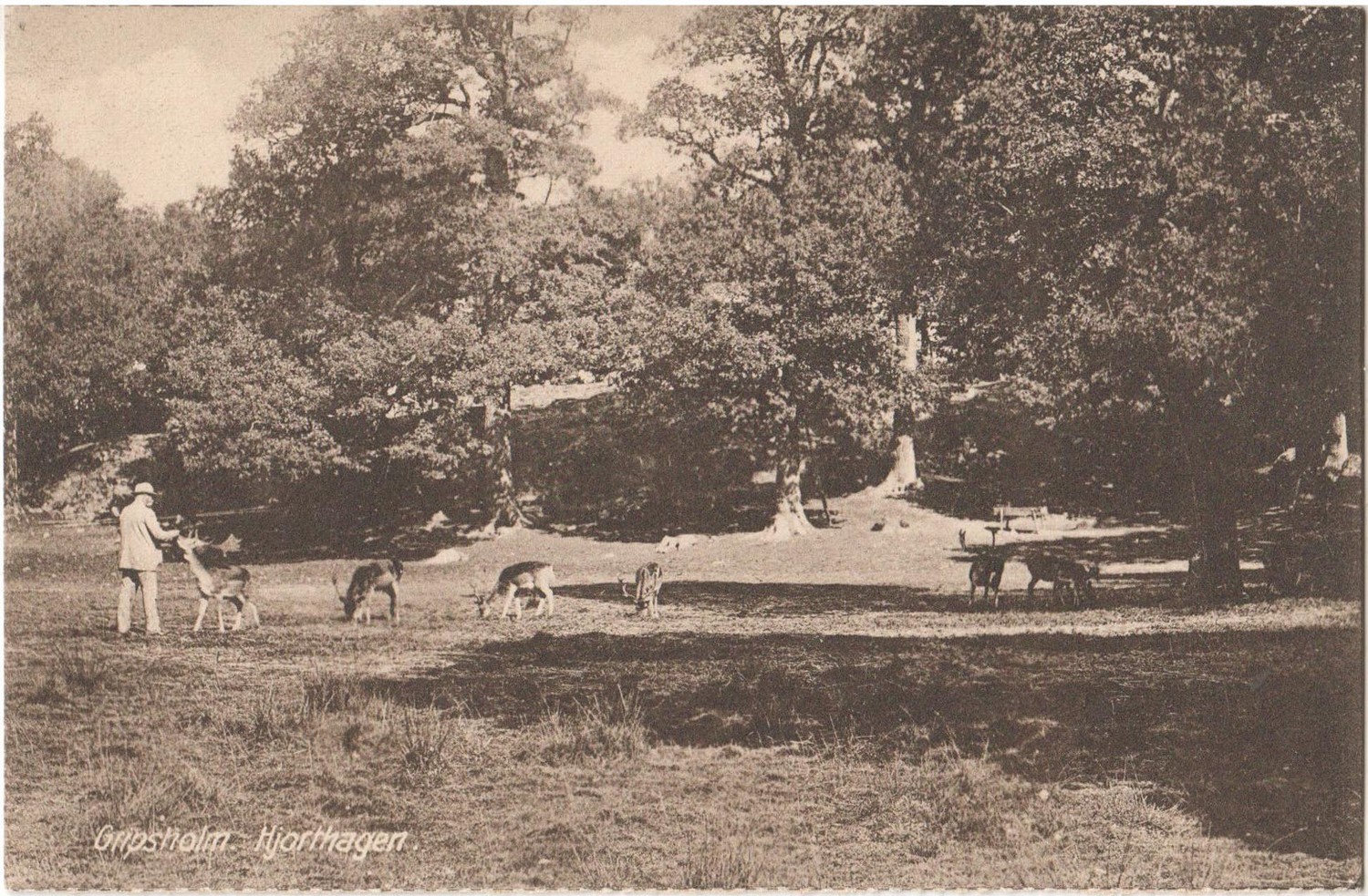 gripsholm_hjorthagen_lindmark.jpg