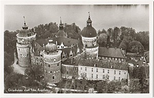 gripsholm_fran_flygplan_ae_15_27.jpg