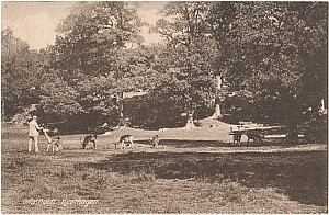 gripsholm_hjorthagen_lindmark.jpg