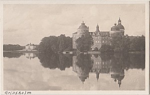 gripsholm_omarkt.jpg