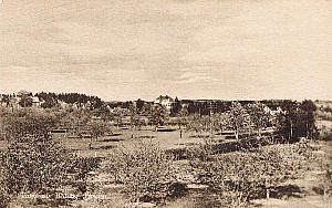 hallbybrunn.jpg