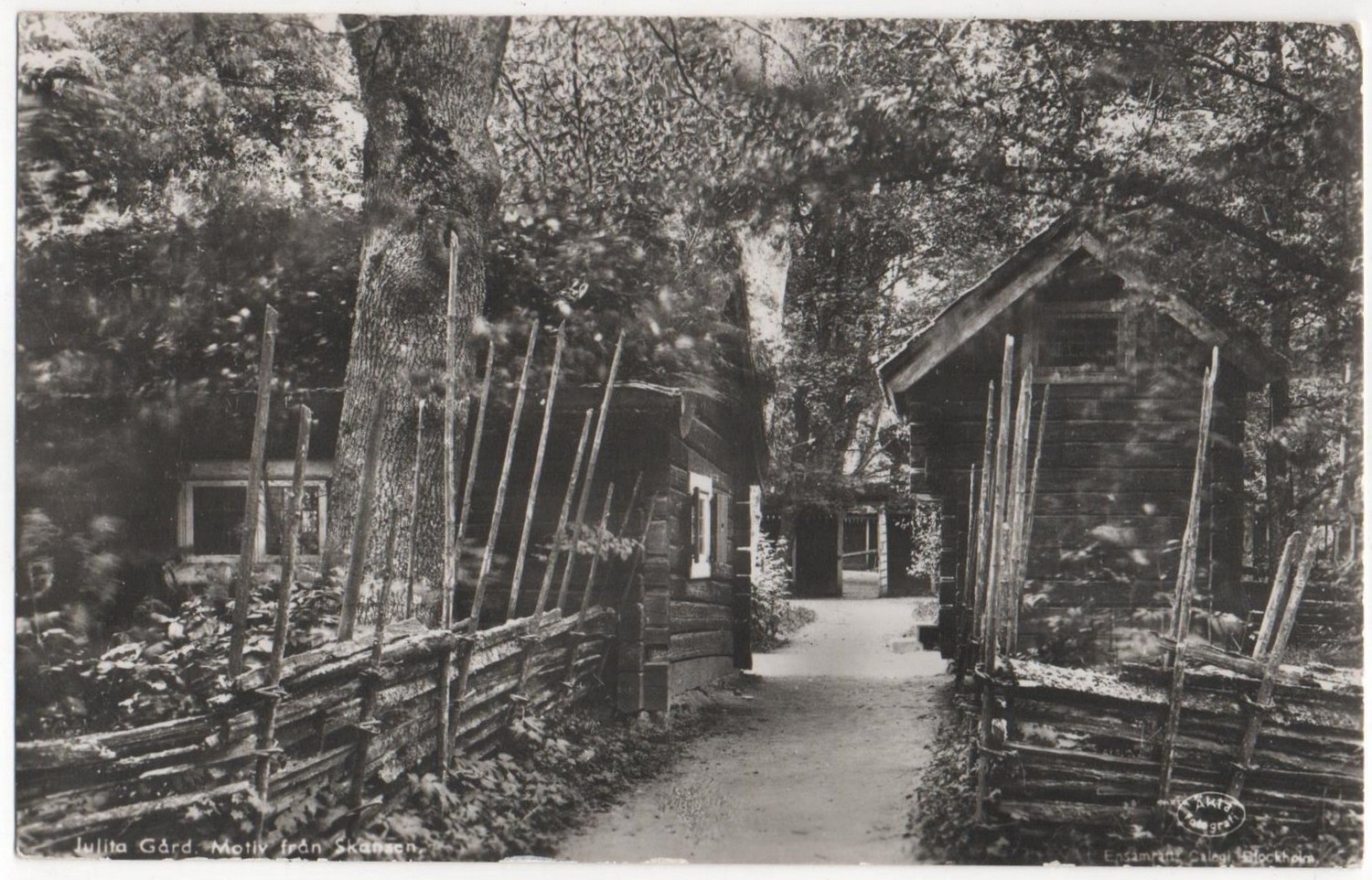 julita motiv skansen calegi 9184.jpg
