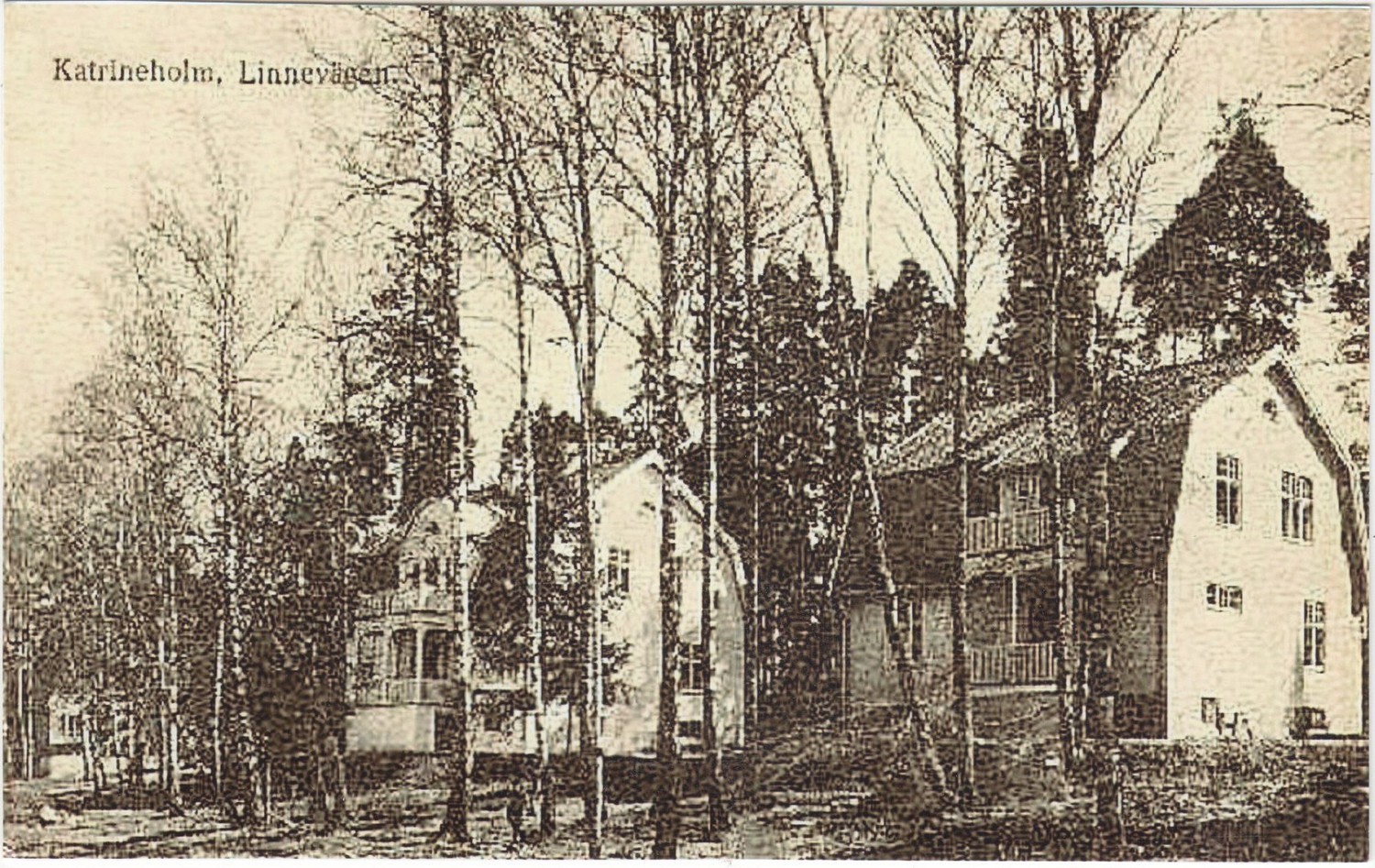 katrineholm_linnevagen_kopia.jpg