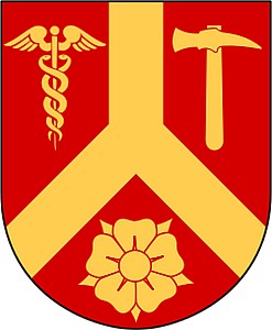 kommun_vapen_katrineholm_vapen.svg.jpg