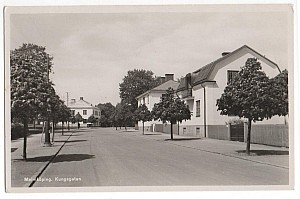 Malmkoping kungsgatan axel eliason 46712.jpg
