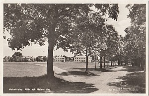 malmkoping_allen_och_malma_hed_a_o_c_1944.jpg