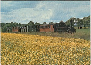 mariefred_museijarnvagen_232_81.jpg