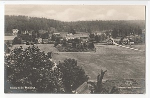 Mellosa_Motiv_Calegi_6703_1928.jpg