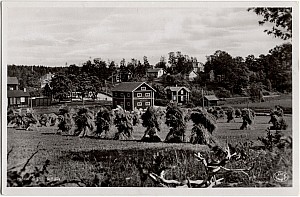 Own_059_Mellosa_Motiv_1941.jpg