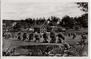 Own_Mellosa_Motiv_Elander_828_1941.jpg