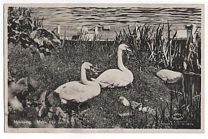Nykoping motiv fran an 1930 07 26.jpg