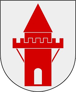 kommun_vapen_nykoping_vapen.svg.jpg
