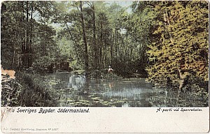 sparreholm_a_parti_ea_3367.jpg