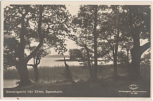 sparreholm_stamningsbild_1928.jpg