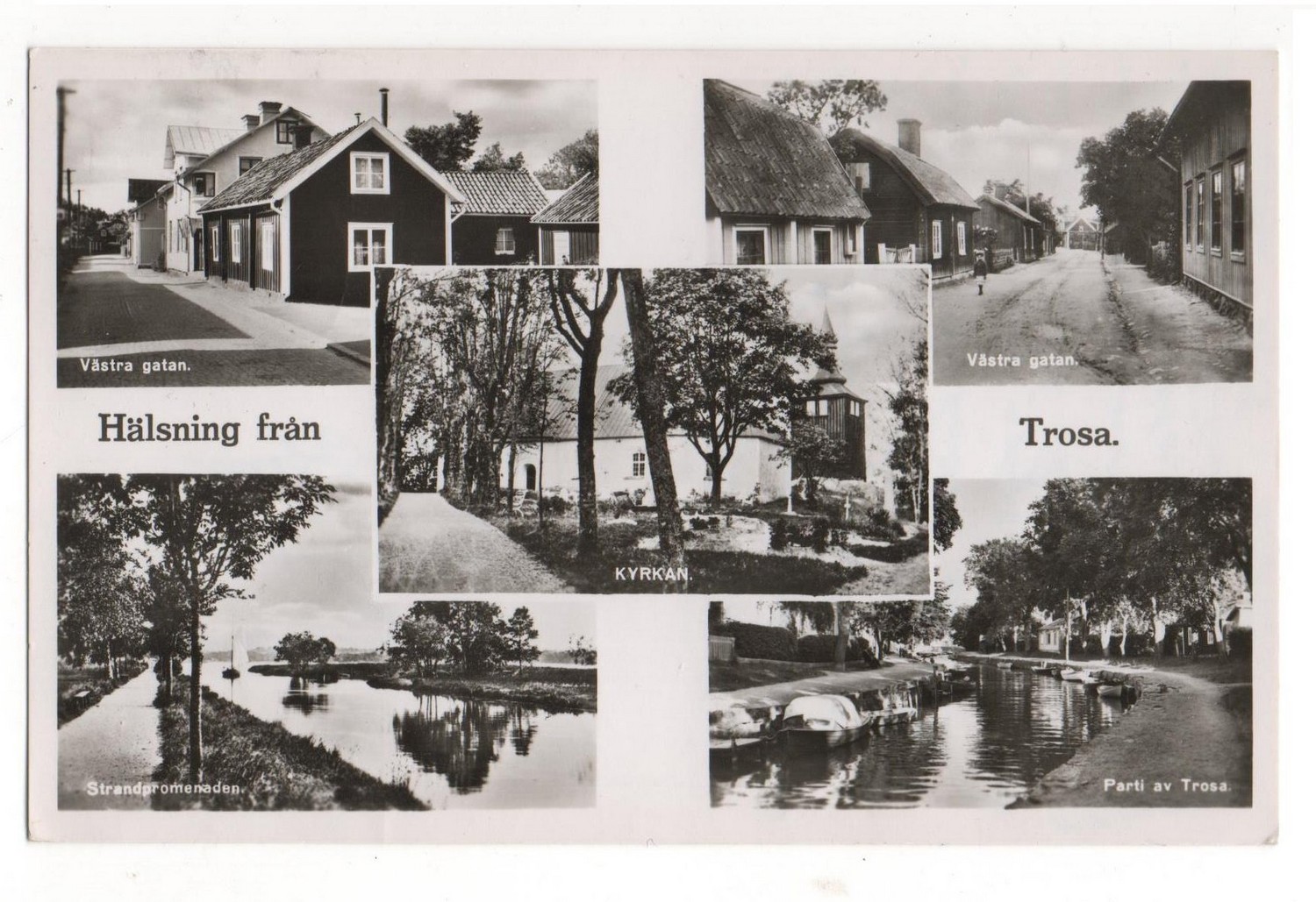 trosa multi albin andesson  axel eliasson 195.jpg