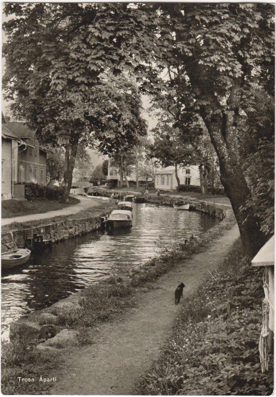 trosa_aparti_andersson_51727_1968.jpg