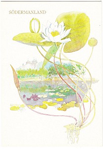 sodermanland_blomma_jolin.jpg