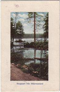 sormland_skogsparti_sv_lito_1918.jpg