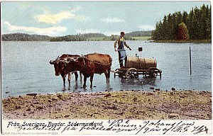 sormland_sveriges_bygder_3363_1903.jpg