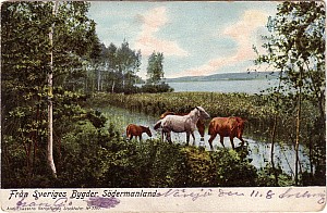 sormland_sveriges_bygder_3365.jpg